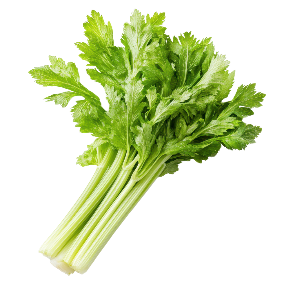 Fresh Celery