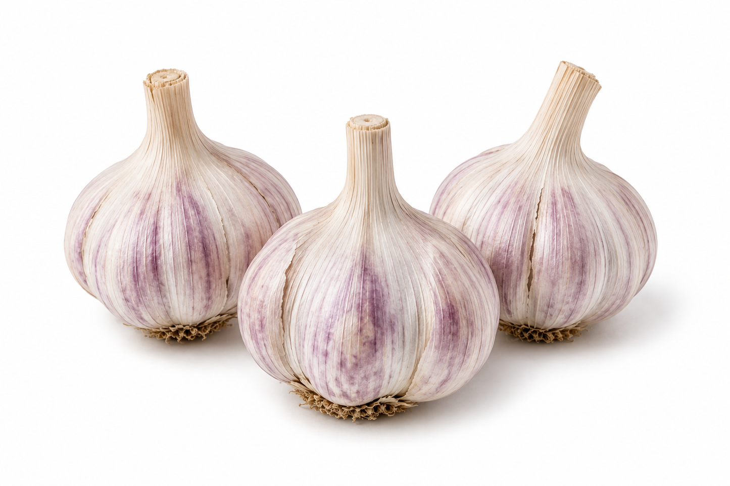 Heirloom Purple Garlic