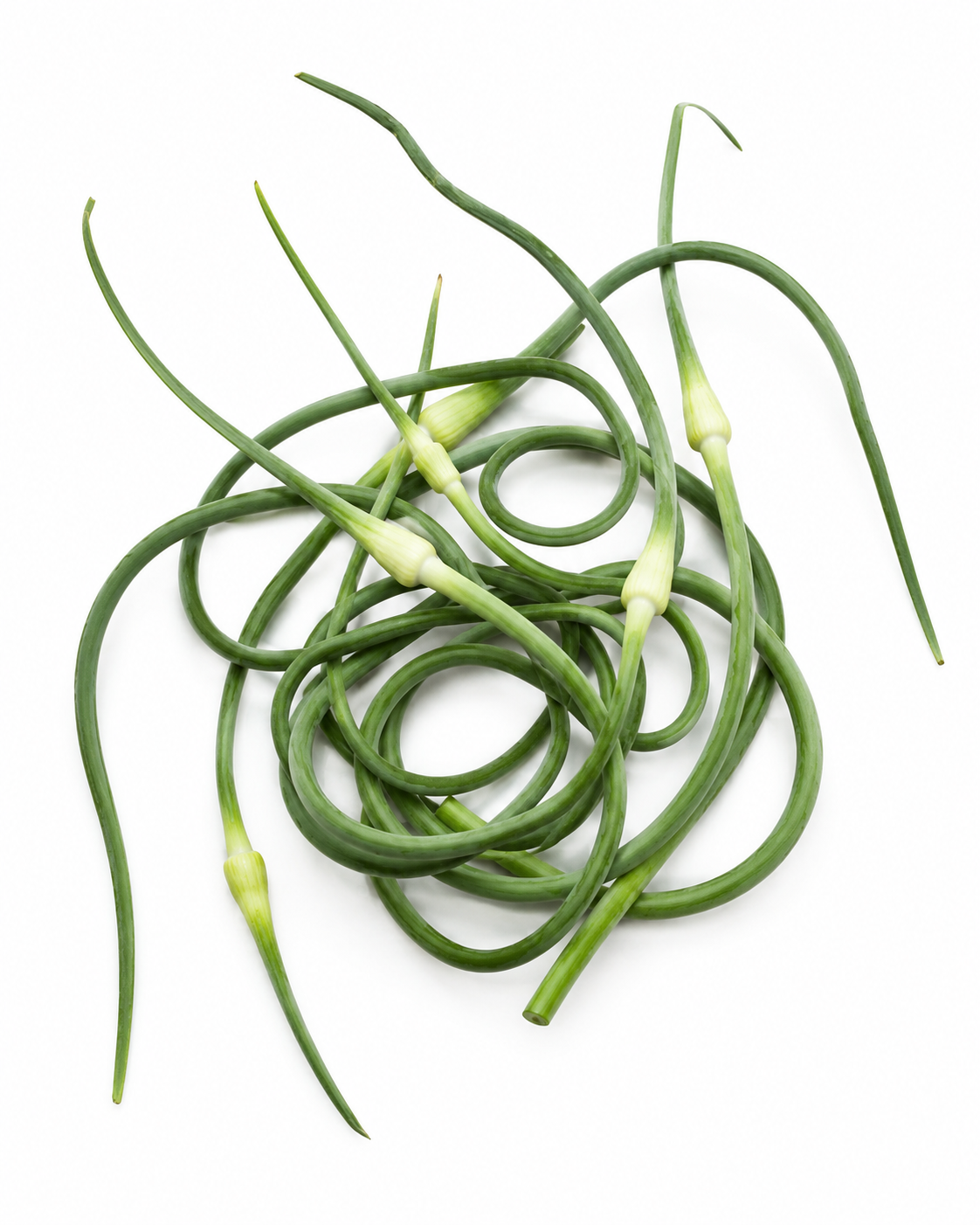 Garlic Scapes