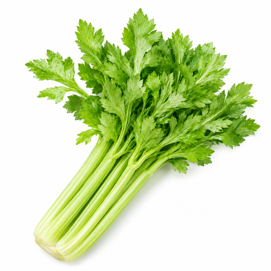 Fresh Celery