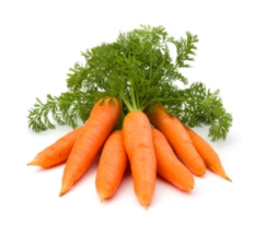Fresh Carrots