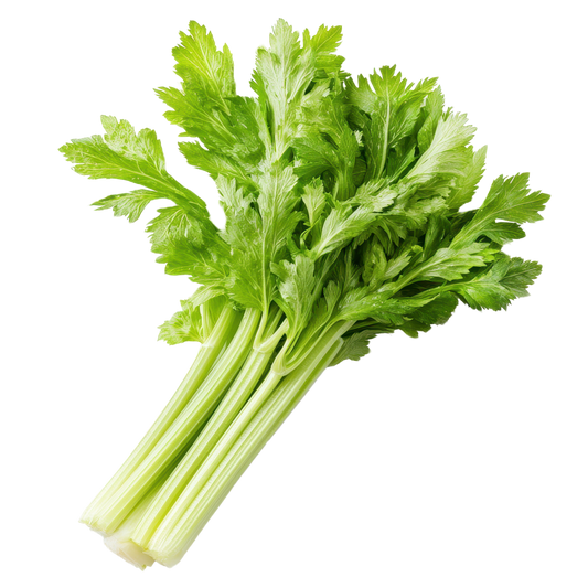 Fresh Celery