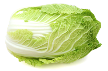 Napa Cabbage