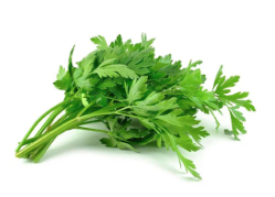 Parsley