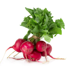 Radish
