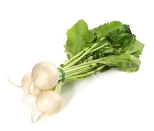 Salad Turnip